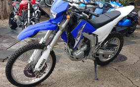 YAMAHA WR250R DG15J