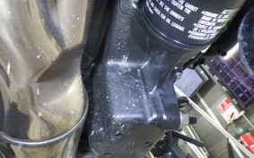 KAWASAKI Z900RS 2024 ZR900K