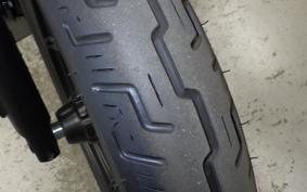HARLEY RH975 2024