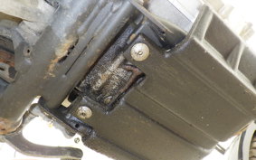 YAMAHA TRICKER DG10J