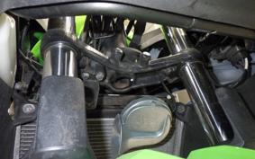 KAWASAKI NINJA 250 EX250L