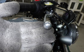 HONDA CL250-2 2019 MC57