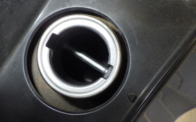 HONDA FORESIGHT EX MF04