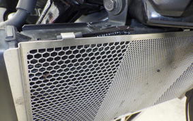 KAWASAKI Z900RS 2020 ZR900C