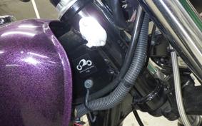 KAWASAKI 250TR 2024 BJ250F