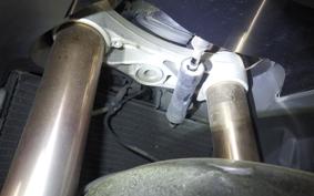 TRIUMPH DAYTONA 675 2015