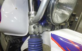 YAMAHA TT250R RAID 2024 4GY