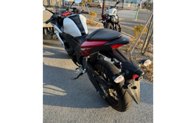 YAMAHA YZF-R25 RG10J