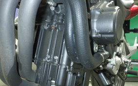 HONDA HORNET 250 2009 MC31