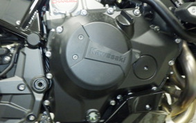 KAWASAKI ZH2 2024 ZRT00R