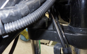 OTHER +ENFIELD ﾒﾃｵ350 2022