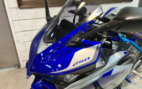 YAMAHA YZF-R25 RG10J