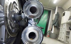 HARLEY FXST1750 2024