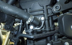 YAMAHA MT-25 A RG43J