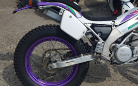 YAMAHA TY250Z SCOTTISH 4ML