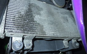 KAWASAKI NINJA 250 2021 EX250L