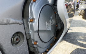 YAMAHA FZR1000 1992 3GM