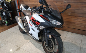 KAWASAKI NINJA 250 EX250P
