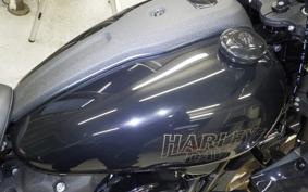 HARLEY FXLRST1920 2025