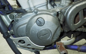 YAMAHA WR250F 2024 CG11W