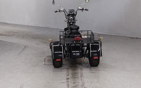 OTHER  BLAZE EV TRIKE  ..