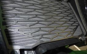 KAWASAKI NINJA 250 EX250P