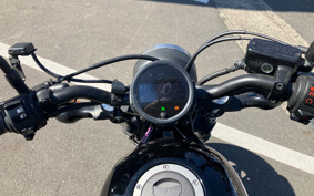 HONDA  REBEL 250 ABS MC49