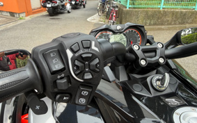 OTHER KANNAMUSPYDER F3-S 2016 RDD