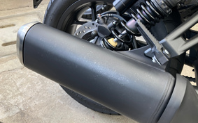 HONDA REBEL 1100 DCT 2025 SC83