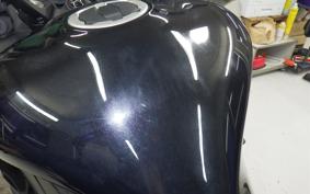 KAWASAKI NINJA 1000SX 2021 ZXT02K