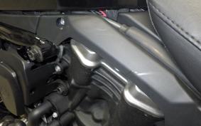HARLEY RH975 2024