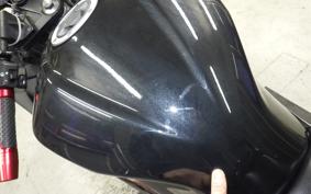 KAWASAKI NINJA 250 EX250L