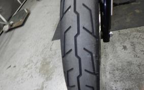 HARLEY XL883N 2021