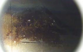 HARLEY FXDX 1450 2001