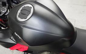 KAWASAKI NINJA 250 2001 EX250P