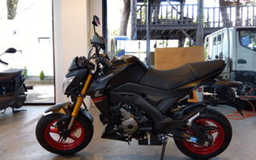 KAWASAKI Z125 PRO BR125H