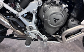 TRIUMPH TIGER EXPLORER 2025 TAP23V