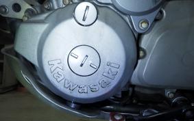 KAWASAKI SUPER SHERPA 2017 KL250G