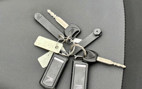 HONDA  FORZA 250 MF13