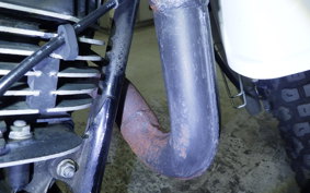 SUZUKI TS185 2011