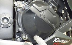 KAWASAKI Z250 2021 ER250C