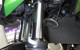KAWASAKI Z300 2022