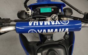 YAMAHA WR250X DG20