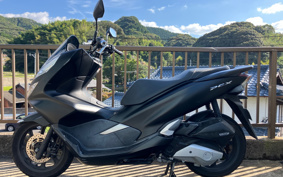 HONDA PCX 125 JF81