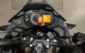 KAWASAKI VERSYS-X 250 TOURER LE250D