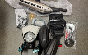 YAMAHA  SEROW 250 FINAL ED DG31J