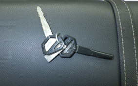 KAWASAKI KLX125 2023 LX125C