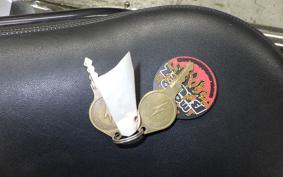 OTHER +UNREGISTERED MODEL by BDS250 2015