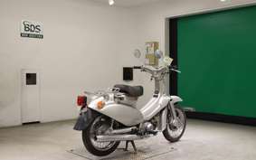 HONDA LITTLE CUB 2019 AA01