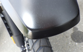 BMW R12G/S 2025